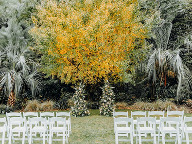 Breathtaking Vineyard Estate Event Venue image 7