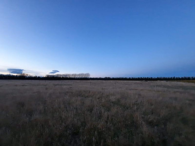 Shared Land Space almost in town (Ashburton) image 3