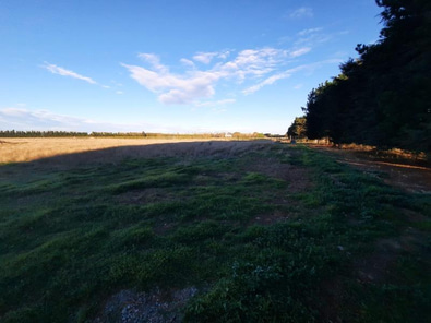 Shared Land Space almost in town (Ashburton) image 5