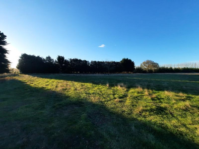 Shared Land Space almost in town (Ashburton) image 4