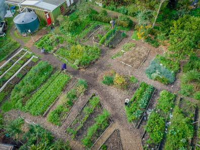 Farm & Gardens Shoot Location in Ponsonby image 9