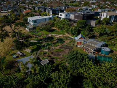 Unique Meeting Space in Ponsonby image 4