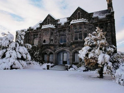 Enchanting Christchurch Event Venue  image 7