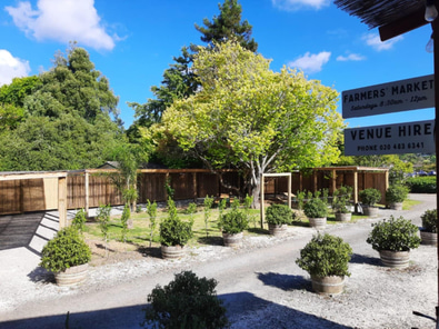 Gorgeous West Auckland Apple Barn image 8