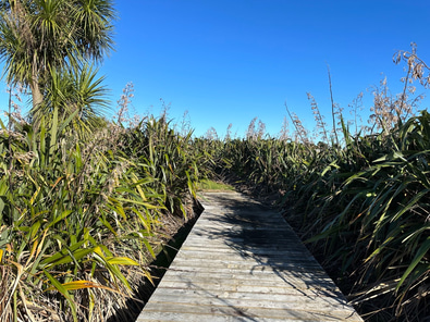 Pohutukawa Point Farm Shoot Location image 6