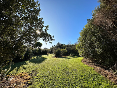 Pohutukawa Point Farm Shoot Location image 9