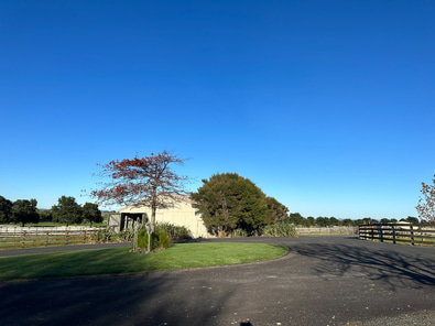 Pohutukawa Point Farm Shoot Location image 7