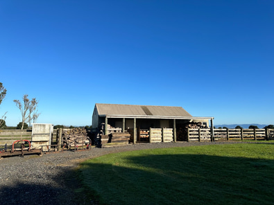 Pohutukawa Point Farm Shoot Location image 5