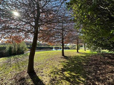 Pohutukawa Point Farm Shoot Location image 4