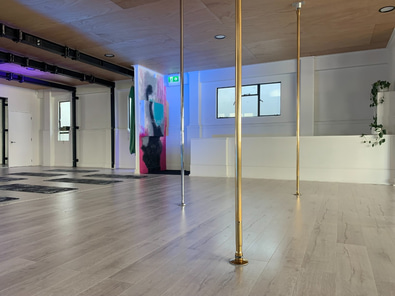 Boutique Fitness Studio Space - Hamilton image 7