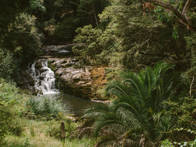 Boutique venue tucked away in Matakana image 3