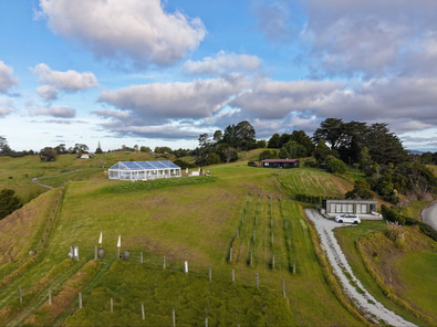 Coastal Rural Estate | Boutique Events  image 8