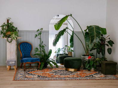 Creative Studio Space surrounded by nature image 9