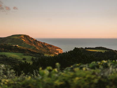 Kula Muriwai - Stunning Meetings Venue image 3