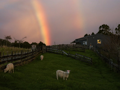 Kauri Ora Farms  image 8