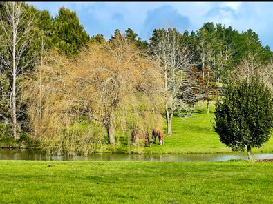 A Storybook Setting for Film or Photography image 5