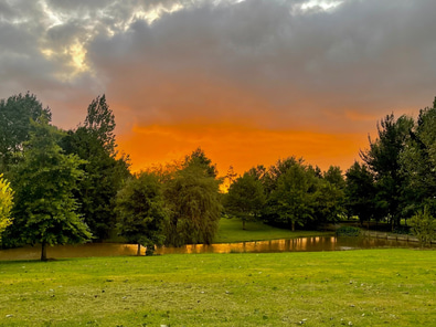 A Storybook Setting for Film or Photography image 4