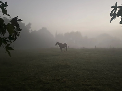 A Storybook Setting for Film or Photography image 8