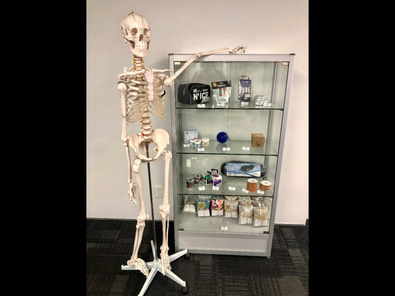 Clinical Space at Capital Sports Medicine image 7