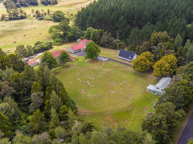 Hunua Falls Shoot Location  image 6