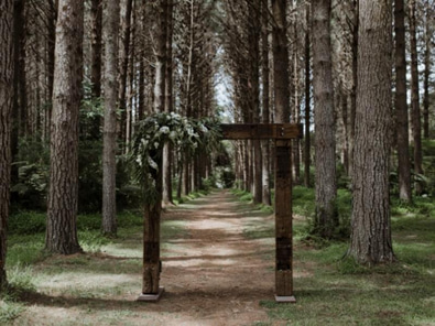 Hunua Falls Shoot Location  image 5