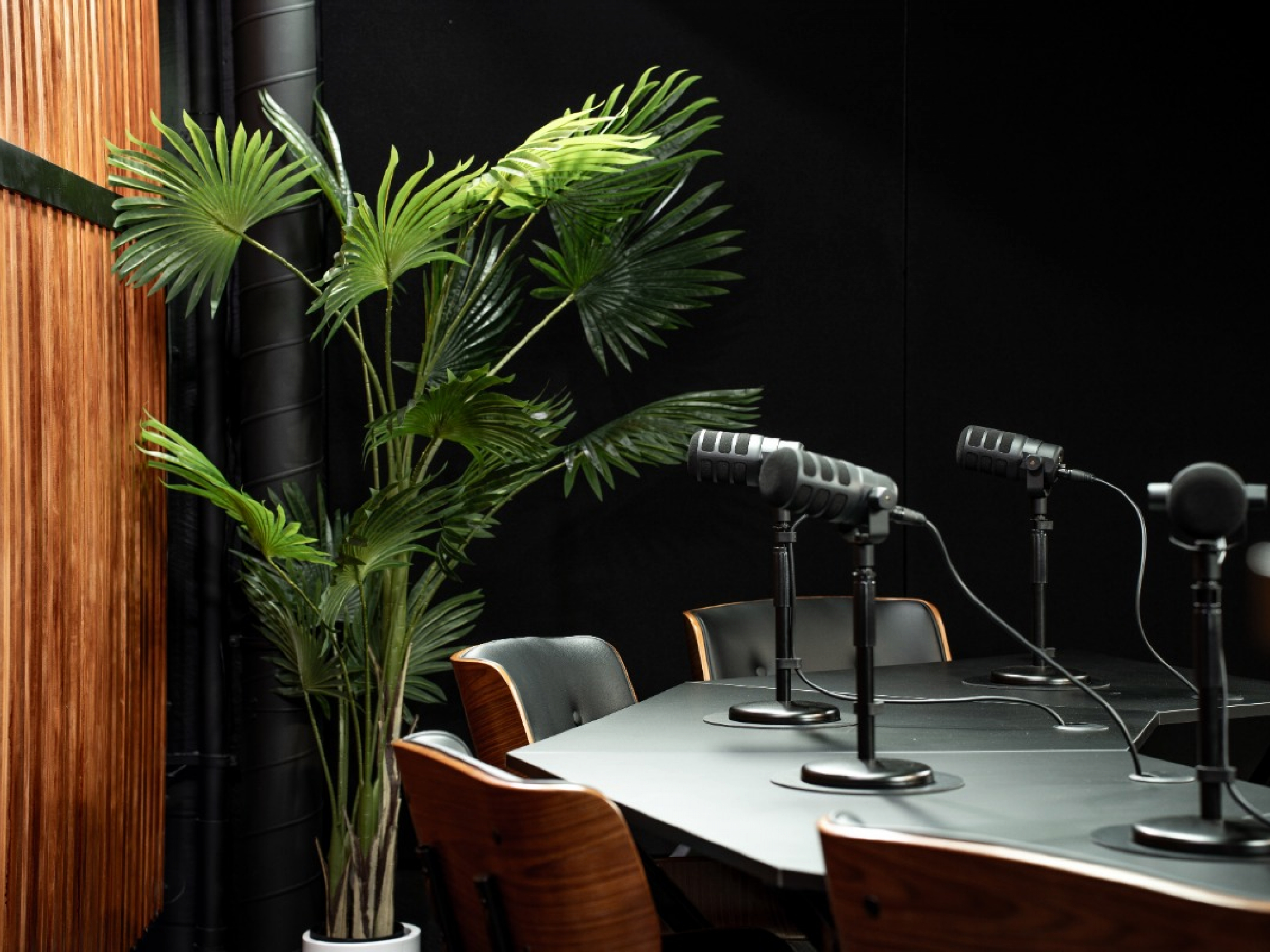 BC Studio image 7