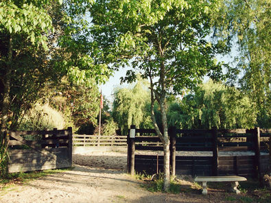 Ness Valley Ranch – Film Location with Horses image 5