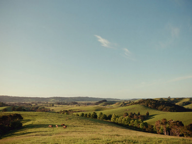 Ness Valley Ranch – Film Location with Horses image 6