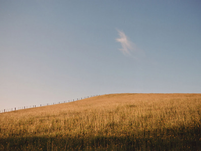 Ness Valley Ranch – Film Location with Horses image 3