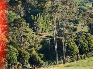 Ness Valley Ranch – Film Location with Horses image 8