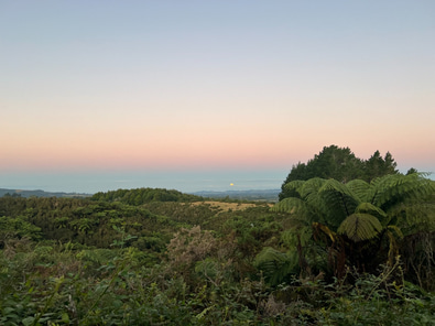 Rural land w rain forest, paddock, waterfalls image 3