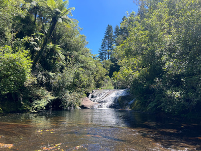Rural land w rain forest, paddock, waterfalls image 5