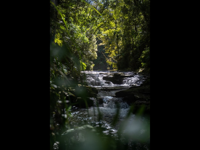 Rural land w rain forest, paddock, waterfalls image 9