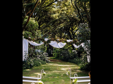 Hedges Estate image 7