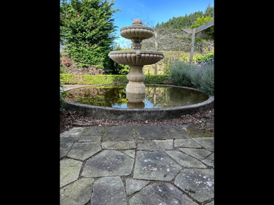 Casa Capo  image 7