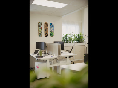 Co-Working Space in Mount Maunganui  image 8