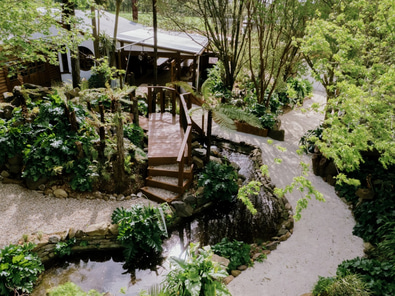 Eden Venue image 3