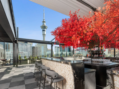 AKA Rooftop image 3