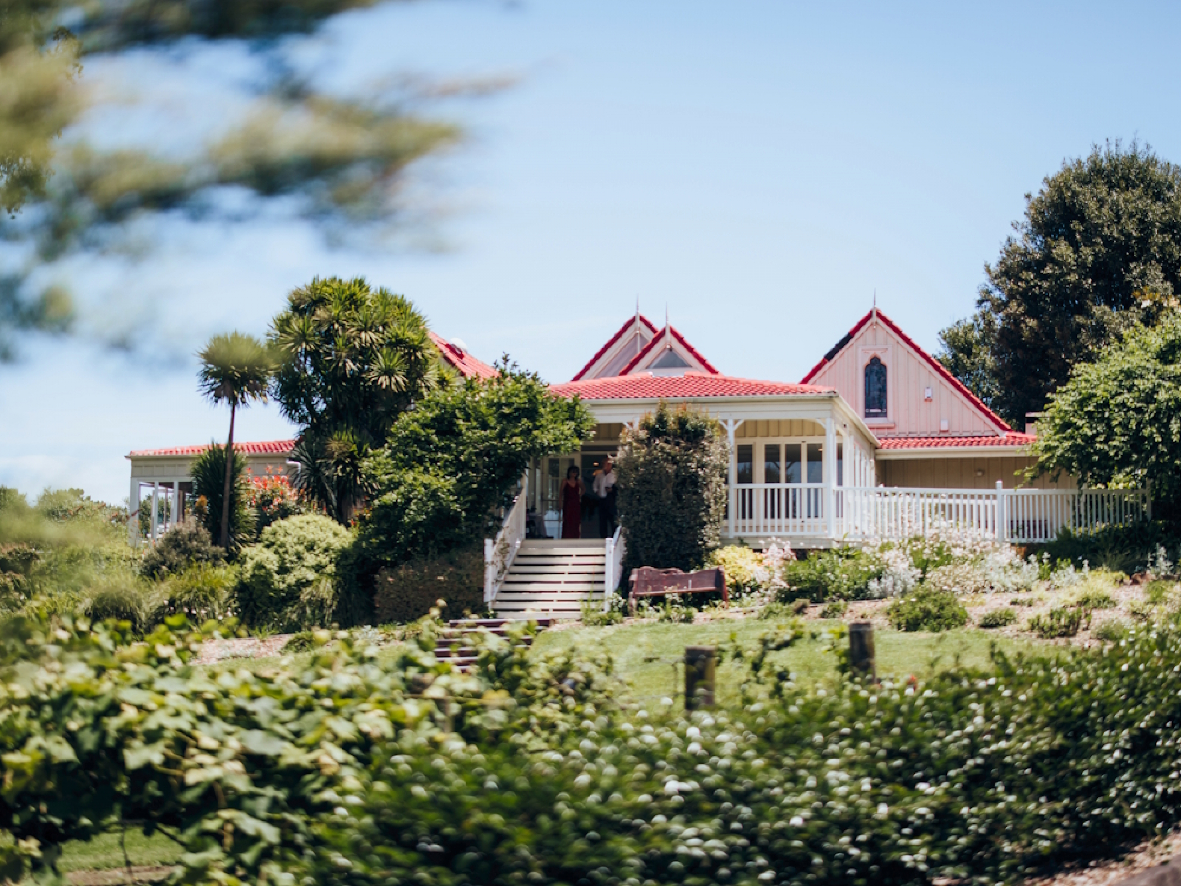 Abel Estate Film & Photography Location Kumeu image 6