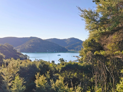 Parohe Island Retreat and Workshops image 8