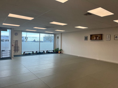 Martial Arts, Yoga and Bodywork Studio image 3