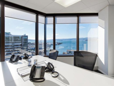 Virtual Office Wellington CBD image 3