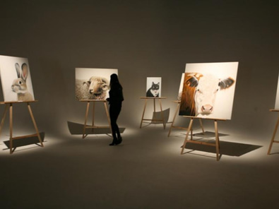 Studio Event Space Ponsonby image 4