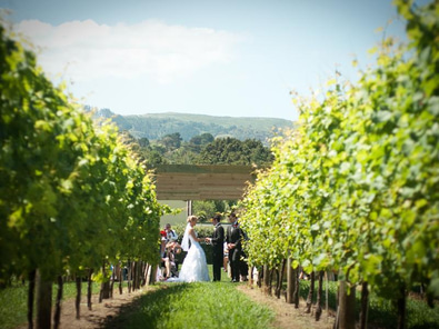 Ascension Wine Estate Functions image 3