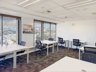 Large Office Space Available in Wellington  image 3