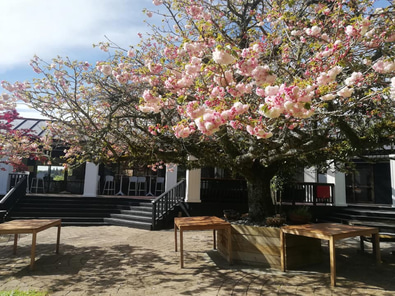 Roselands Resorts  Venue image 4