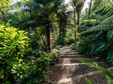 Kauri Springs Lodge | Waiheke Garden Venue image 5