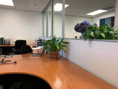 Desk Space Available in Ellerslie.  image 5