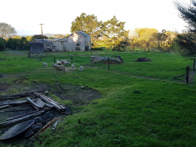 Rustic Barn with Character in Helensville image 3