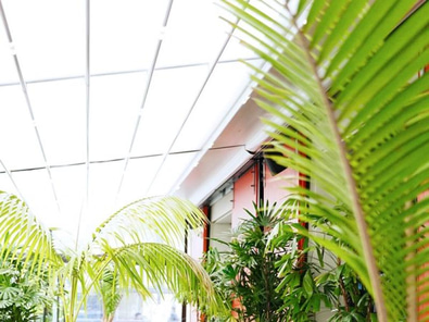 Wynyard Pavilion Garden Bar- Retractable roof image 8